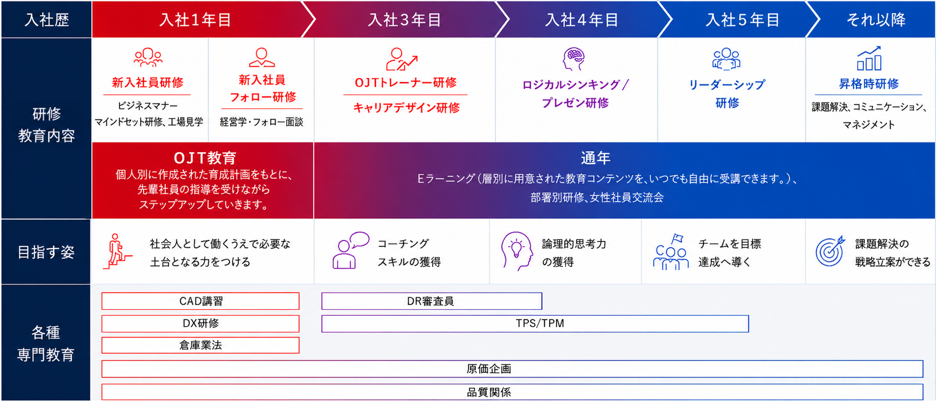 若手育成プログラム